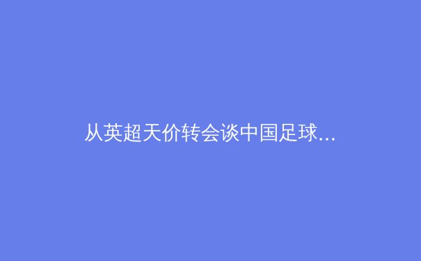 从英超天价转会谈中国足球青训体系的重构路径 - 4